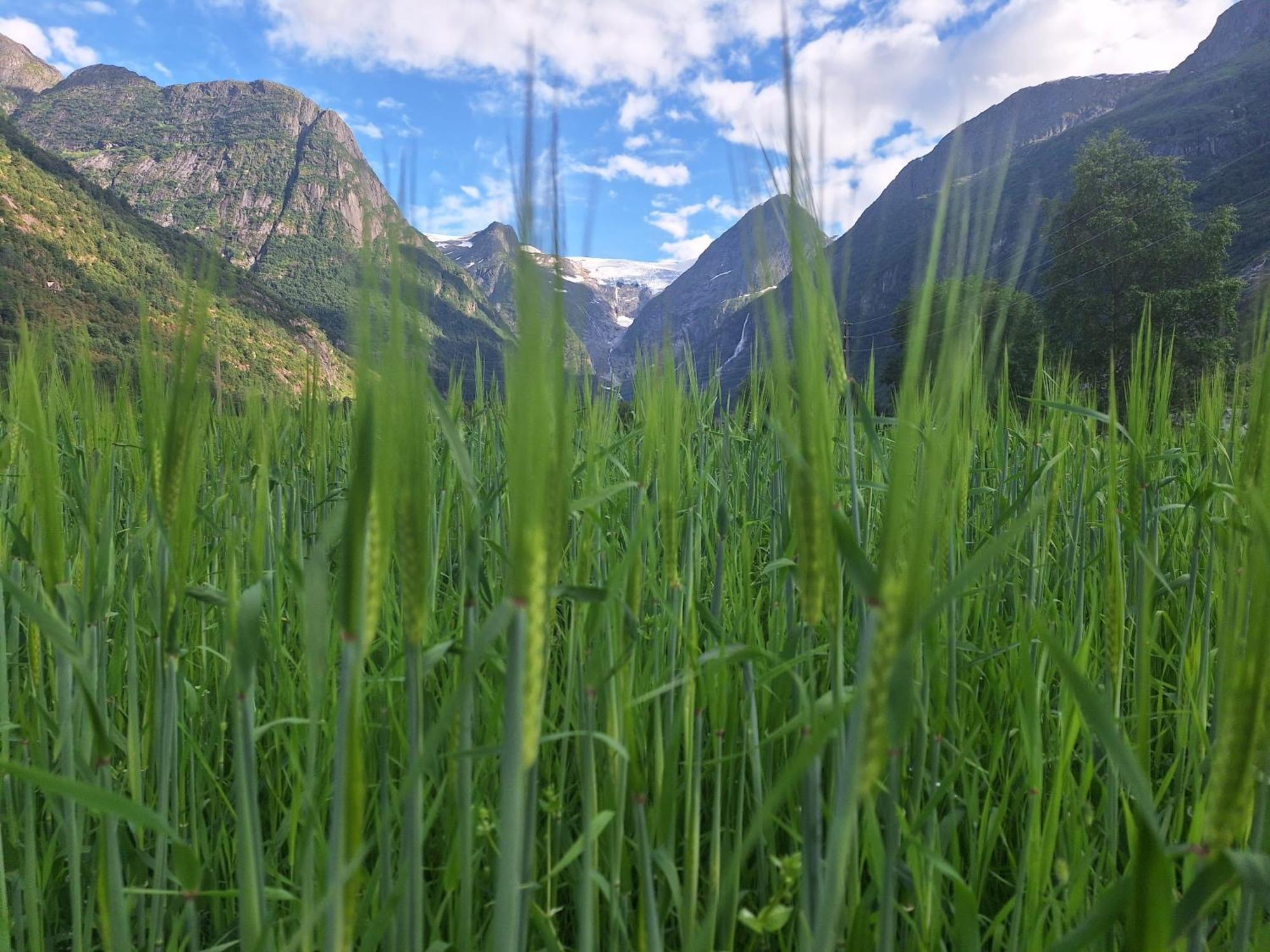 Microen Villa Stryn Luaran gambar
